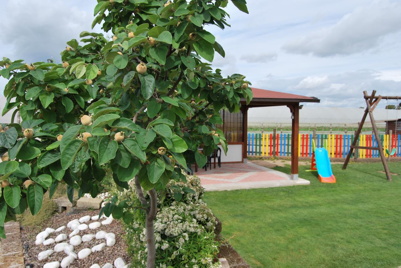 Bed and Breakfast Le Terre Di Bac Borgo Montenero Exteriér fotografie